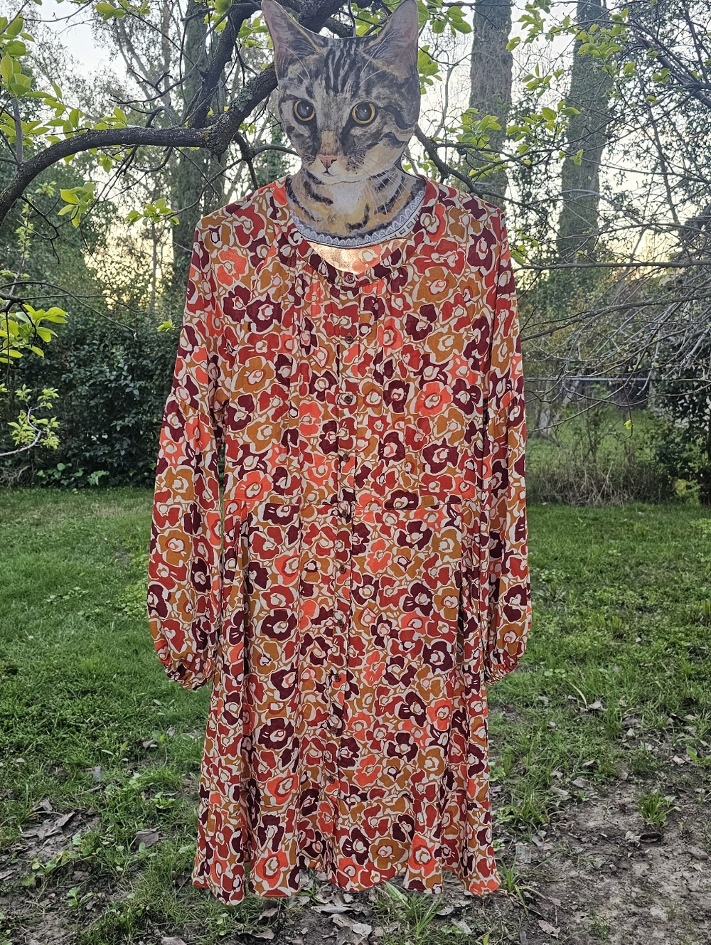 CAbi Daydream Orange Floral Print Long Sleeve Button Down Dress